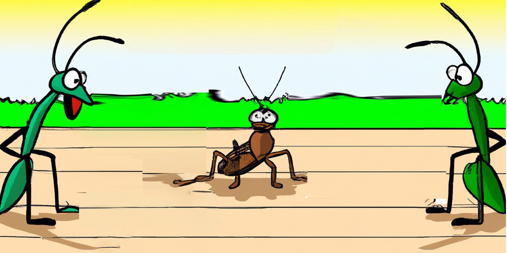 confused ant standing between grasshopper and cricket. cartoon image.