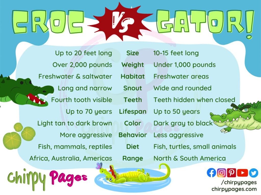 comparison of crocodile vs alligator talking about things like their Size
Weight
Habitat
Snout
Teeth
Lifespan
Color
Behavior
Diet
Range
infographic by chirpy pages