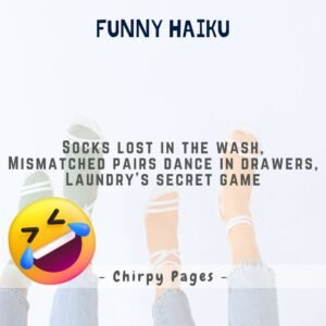 funny haiku about laundry Socks lost in the wash, Mismatched pairs dance in drawers, Laundry’s secret game
