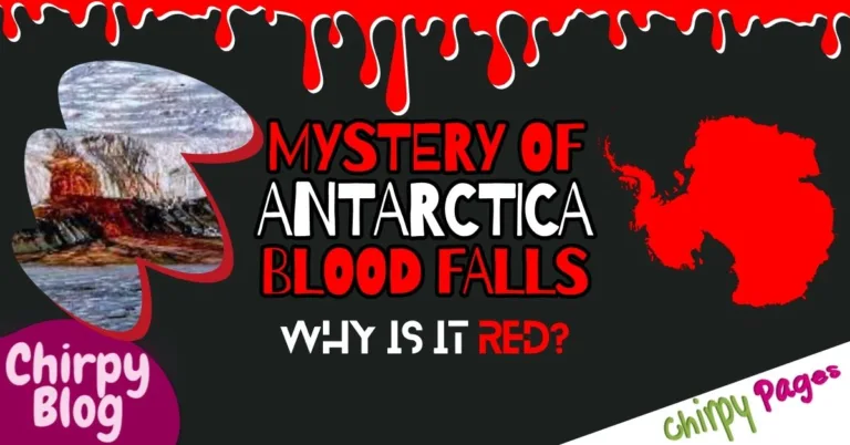 Antarctica blood falls mystery ? why is Antarctica blood falls red? mystery solved. explained. blog header.