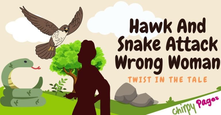 Woman Attacked By Snake And Hawk story with a twist. thriller story of hawk and snake attack woman