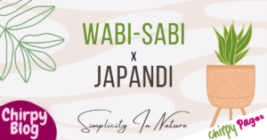 image header of article about Fusion of Wabi-Sabi and Japandi - Simplicity In Nature