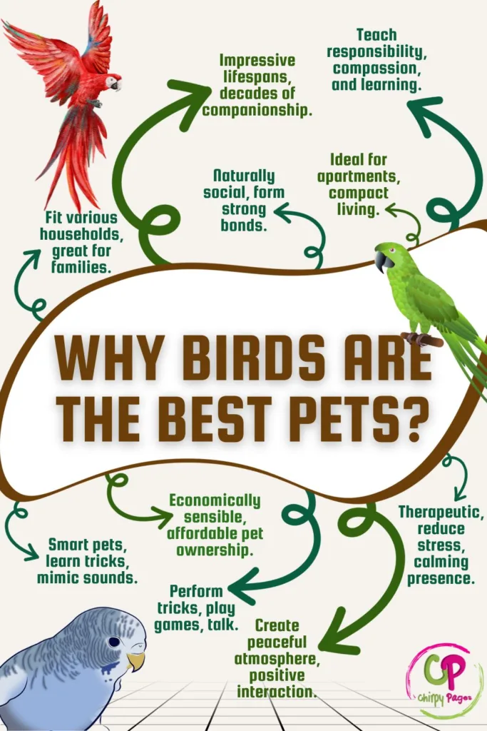 Reasons Why Birds Are the Best Pets infographic visual guide stating 10 reasons that make birds the best pets. these reasons include 1Smart pets, learn tricks, mimic sounds. 2 Ideal for apartments, compact living. 3 Naturally social, forms strong bonds. 4 Fits various households, great for families. 5 Therapeutic, reduces stress, calming presence. 6 Impressive lifespans, decades of companionship. 7 Economically sensible, affordable pet ownership. 8 Performs tricks, plays games, talks. 9 Creates peaceful atmosphere, positive interaction. 10 Teaches responsibility, compassion, and learning.