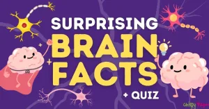 surprising brain facts and quiz article header