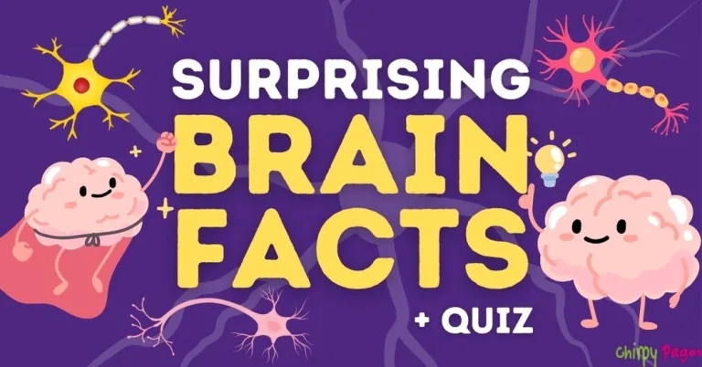 surprising brain facts and quiz article header