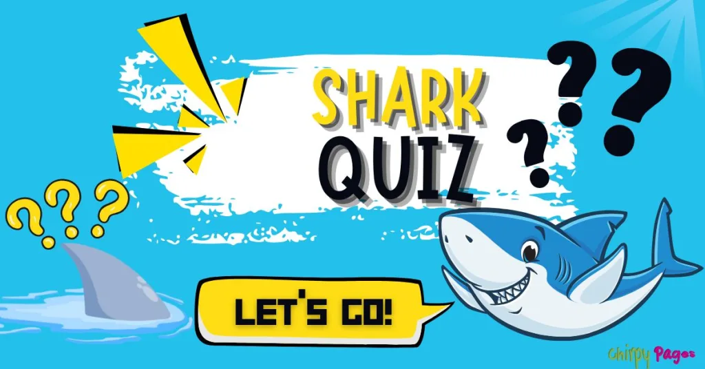 free shark quiz with multiple choice questions